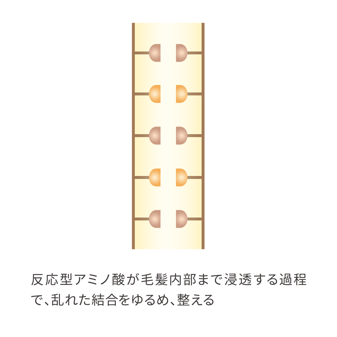 反応2｜結合を緩めて再整列