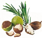 ３種のオーガニック